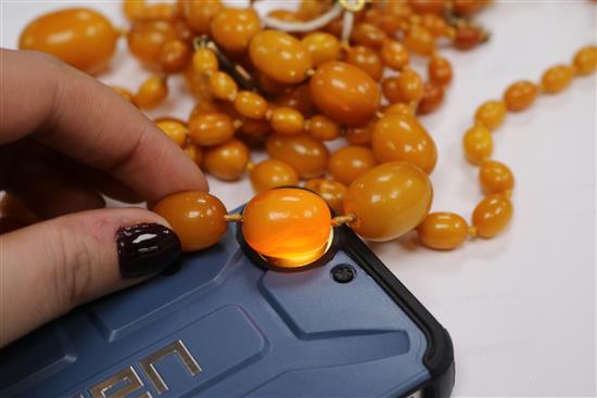 Three assorted single strand graduated amber bead necklaces.